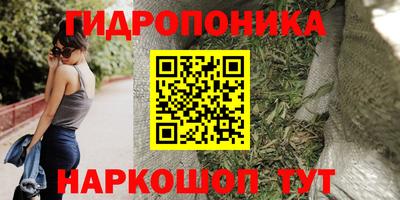 амф Севастополь