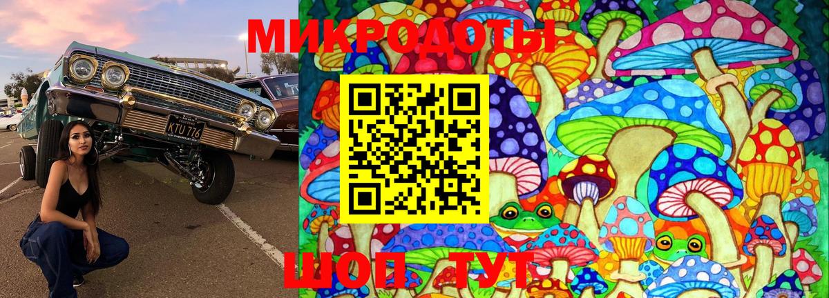 Галлюциногенные грибы Psilocybine cubensis Омск